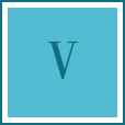V icon